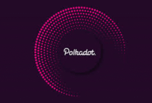 What Is Polkadot?